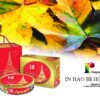Dịch vụ in bao bì hộp Long An Chuẩn Đẹp | Công ty Dragon VN