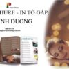 in tờ gấp bình dương